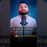 Incredible Transformation! Watch this Dog’s Amazing Makeover | Uplifting Shorts